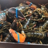 Kool Ice & Seafood Co gallery