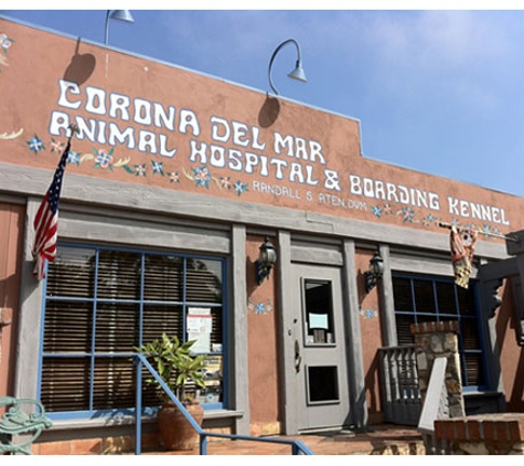 Corona del Mar Animal Hospital, A Thrive Pet Healthcare Partner - Corona Del Mar, CA