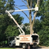 RVP Expert Tree Services gallery