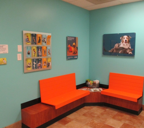 Banfield Pet Hospital - Arvada, CO