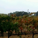 Lone Madrone Winery