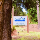 Angel Oak Animal Hospital