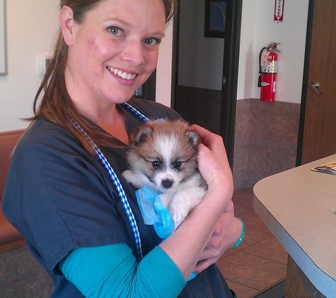 Fairgrounds Animal Hospital - Reno, NV. Puppy and Kitten Vaccinations