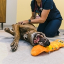 PetVet365 Pet Hospital Denver/Westminster - Veterinarians