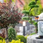 Safe Haven Pest Control