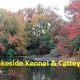 Lakeside Kennel & Cattery