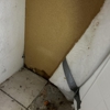 Water Damage Professionals gallery