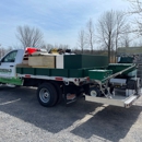 Emerald Lawn Care - Gardeners