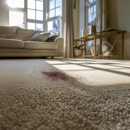 Bee Cleaners - Carpet & Rug Cleaners