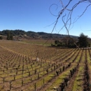 Zichichi Family Vineyard - Wine