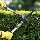 Yosemite Irrigation and Landscaping, Inc. - Lawn Maintenance