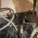 Triple R Drain Solutions & Pipe Works - Plumbing-Drain & Sewer Cleaning