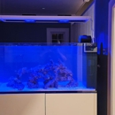 Virgin Pacific - Pet Stores