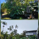 Aloha trees and rockwall services - Patio Builders