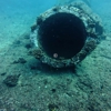 Waikiki Dive Center gallery