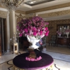 Chinar gallery