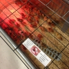 Wilco Farm Stores - Springfield gallery