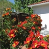 Casa Blanca Inn & Suites gallery