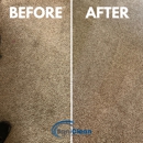 SaniClean Dry Carpet Cleaning - Upholstery Cleaners