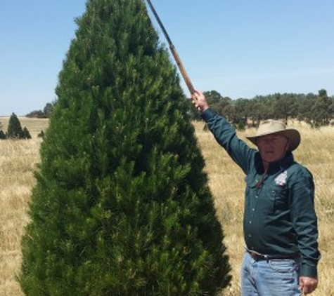Santa's Shaped Christmas Trees Pty Ltd - Gundaroo, NSW