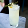 Folk gallery