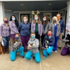 Companion Animal Hospital of Traverse City gallery