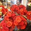 Saint Germain Flowers Inc. gallery
