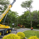 Mayer Tree Services