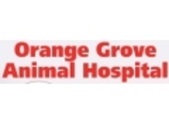 Orange Grove Animal Hospital - Tucson, AZ