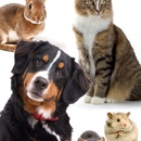 Brattleboro Veterinary Clinic - Veterinary Clinics & Hospitals