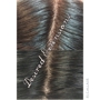 Desired Extensions Inc