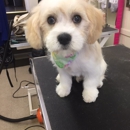 Misty Grooming and Boutique