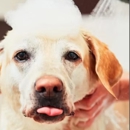 Paws 48 Dog Wash & Gym - Pet Grooming