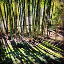 Japanese Friendship Garden - Botanical Gardens