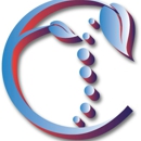The Allergy & Spine Center - Chiropractors & Chiropractic Services