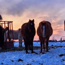 River Valley Ranch Inc - Horse Boarding