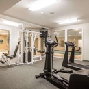 Comfort Inn & Suites East Greenbush - Albany - Hotels
