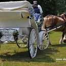 Fairwinds Farm - Stables