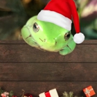 Frank's Pet Shop