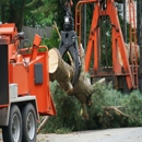 Ages Tree Service LLC