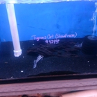 Tong's Tropical Fish & Pets