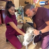Hearthstone Animal Clinic gallery