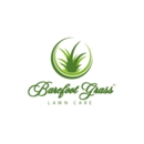 Barefoot Grass Lawn Care & Pest Control - Pest Control Services