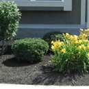 Mulch Kingdom - Landscape Contractors