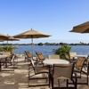 Cambria Hotel Miami Airport - Blue Lagoon gallery
