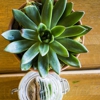 True Food Kitchen gallery