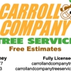 Carroll and Company Tree Service NJTC 768144 gallery