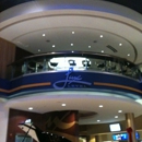 Showcase Cinemas - Movie Theaters