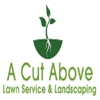 A Cut Above Lawn Service & Landscaping gallery