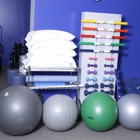 Theramedic Rehab & Physical Therapy